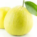 Bergamot Fragrance Perfumes Bergamot Fragrance Perfumes