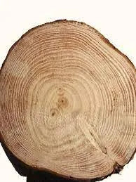 Cashmeran Wood Fragrance Perfumes Cashmeran Wood Fragrance Perfumes