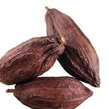 Cacao Fragrance Perfumes Cacao Fragrance Perfumes