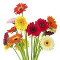 Floral Fragrance Perfumes Floral Fragrance Perfumes