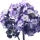 Heliotrope Fragrance Perfumes Heliotrope Fragrance Perfumes