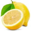 Lemon Fragrance Perfumes Lemon Fragrance Perfumes