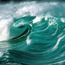 Marine (Aquatic) Fragrance Perfumes Marine (Aquatic) Fragrance Perfumes