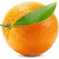 Orange Fragrance Perfumes Orange Fragrance Perfumes