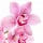 Orchid Fragrance Perfumes Orchid Fragrance Perfumes