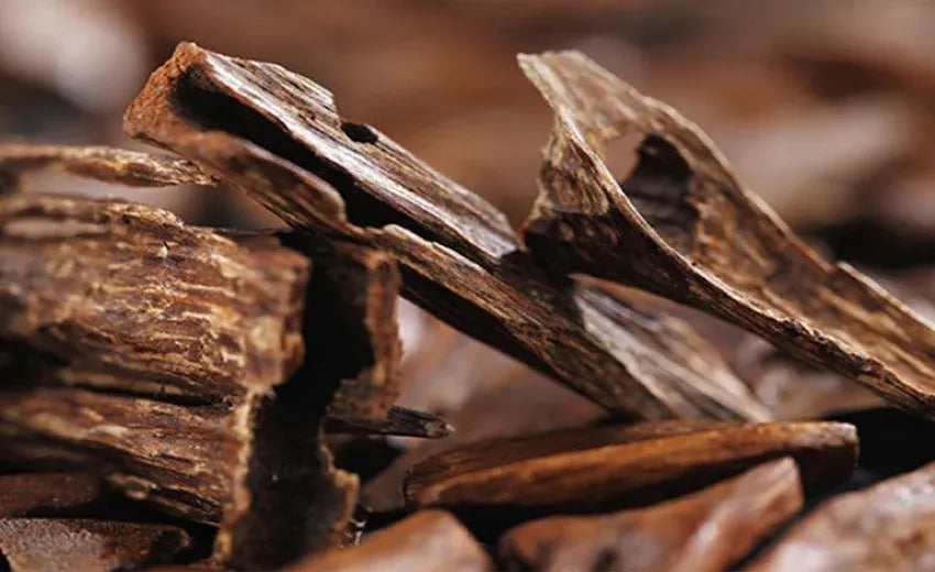 Oud Fragrance Perfumes Oud Fragrance Perfumes