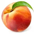 Peach Fragrance Perfumes Peach Fragrance Perfumes