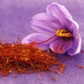 Saffron Fragrance Perfumes Saffron Fragrance Perfumes