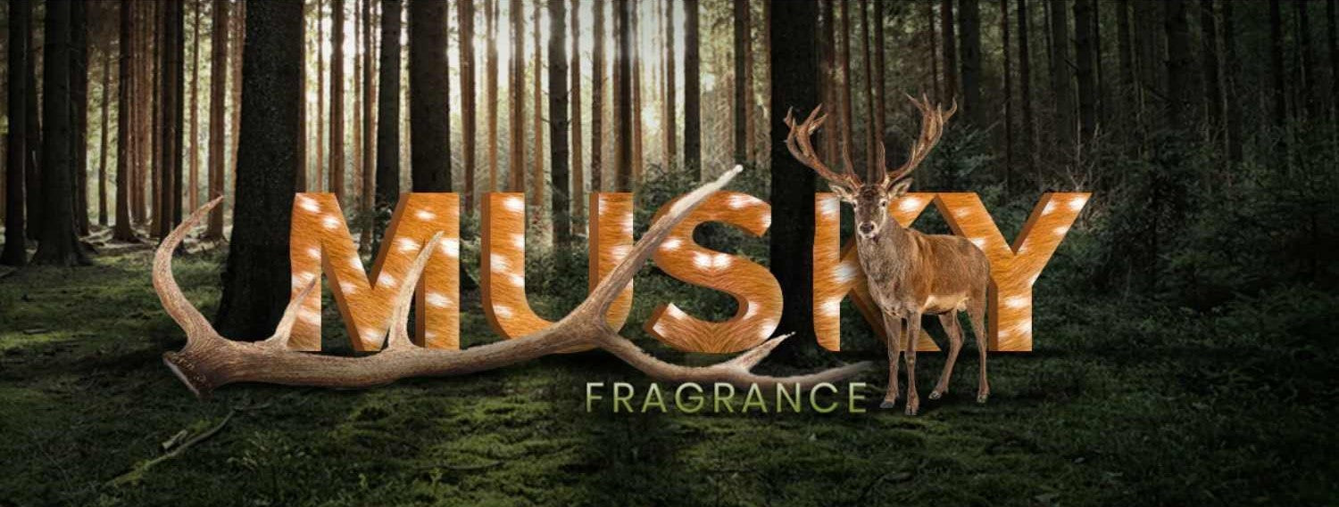 All About Musky Notes & Choosing the Right Perfume