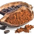 Cocoa (Powder) Fragrance Perfumes