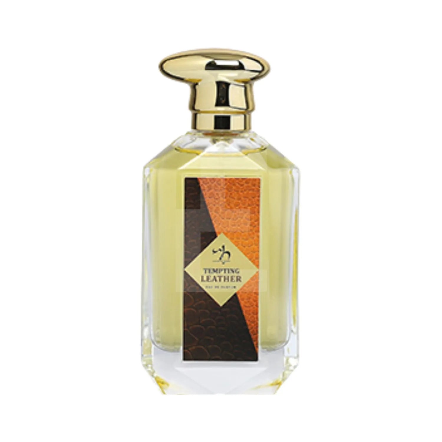 Tempting Leather Perfume (U) 100ml